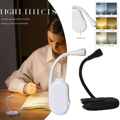 Desk Lamp