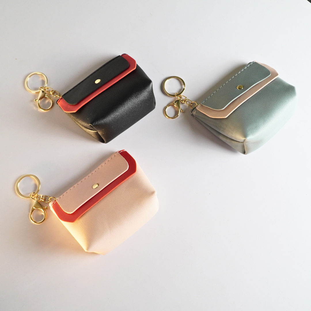 Cute wallet Pouch Keychain(Random Color)