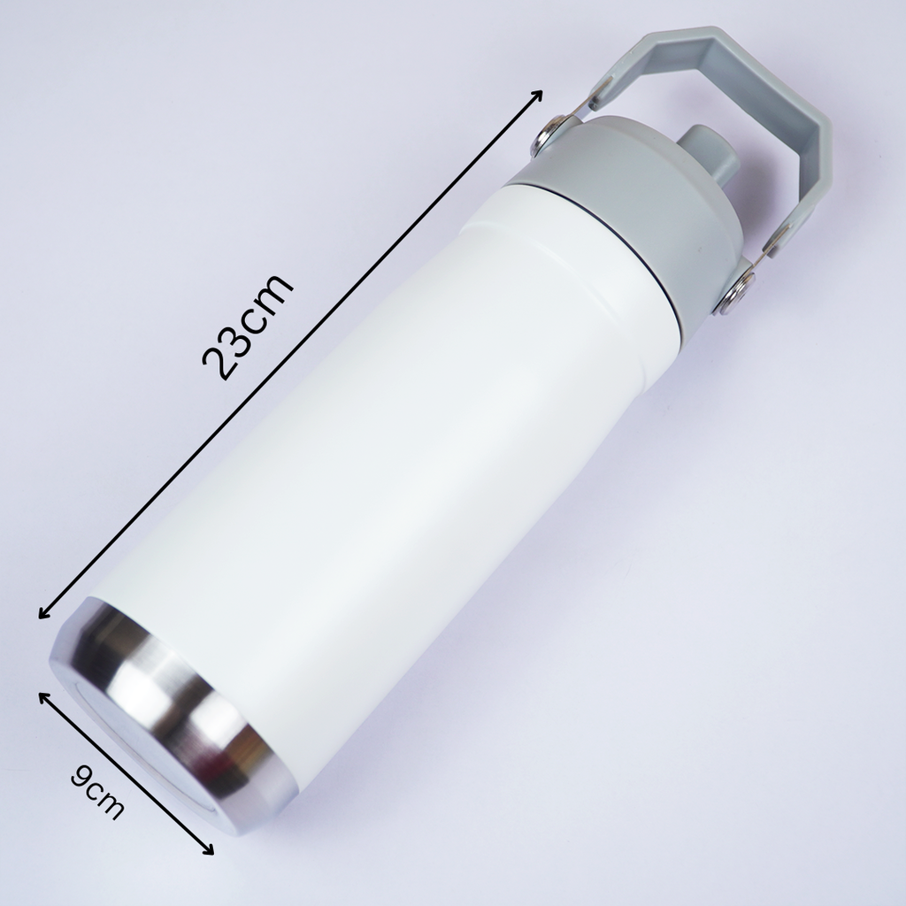 650ml Stainless Steel Water Bottle with Handle