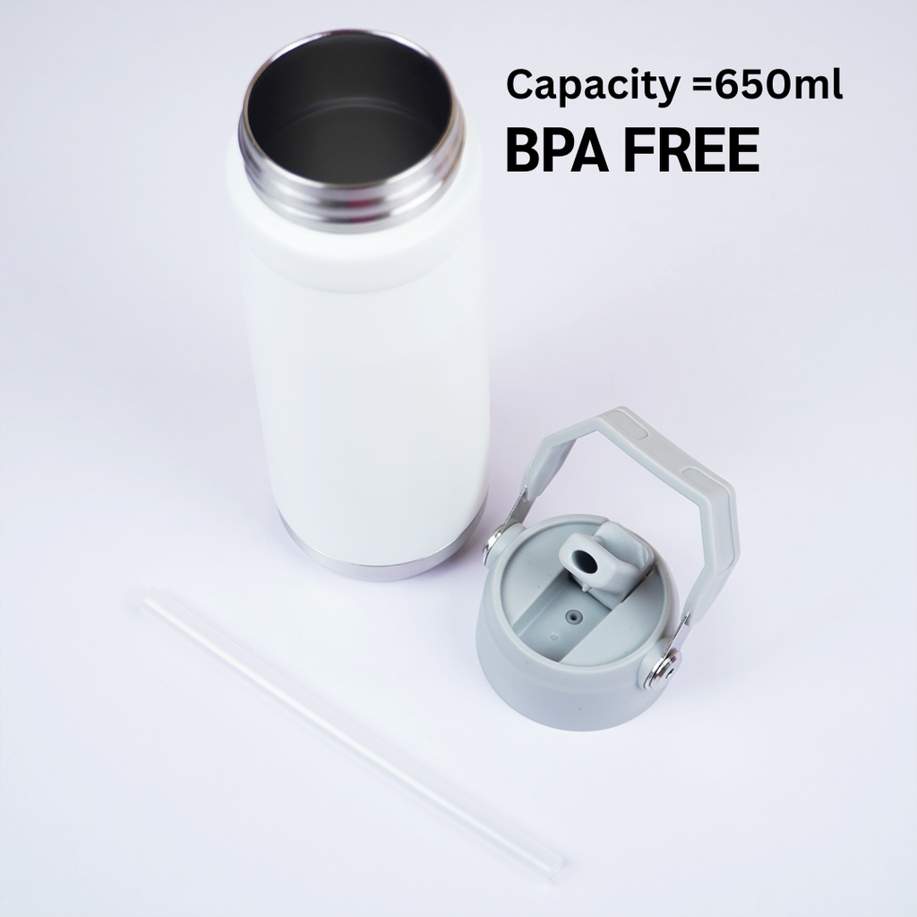 650ml Stainless Steel Water Bottle with Handle