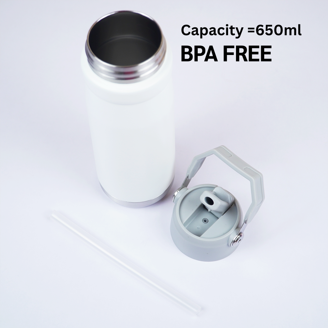 650ml Stainless Steel Water Bottle with Handle