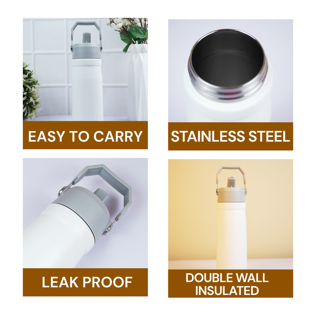 650ml Stainless Steel Water Bottle with Handle