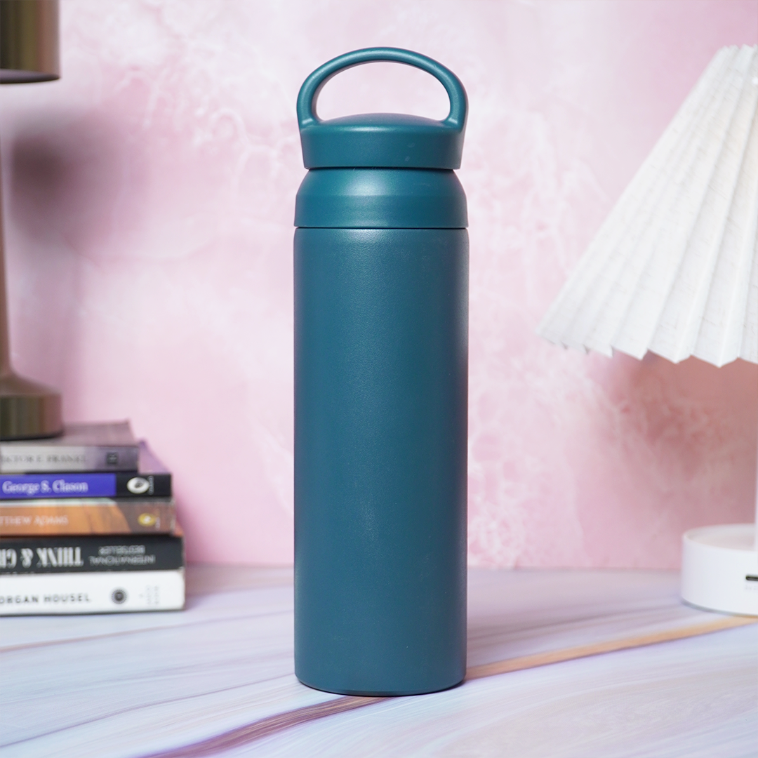 Premium Matte Finish Leak-Proof Water Bottle with Carry Handle