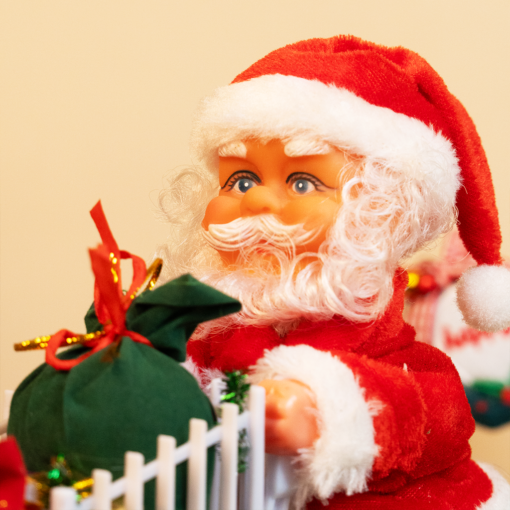 The Christmas Delivery Santa