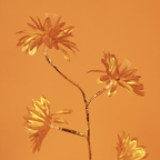 Golden LED Blossom Tree Light | Decorative Flower Lamp