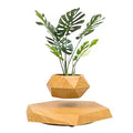 Gravity-Defying Wooden Planter - Levitates and Rotates | Ideal for Bonsai | Elegant Home and Office Decor | Perfect Unique Gift