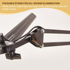 Double Head LED Desk Lamp with Clamp