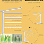 LED™ Desk Lamp Touch Control 3 Levels Brightness