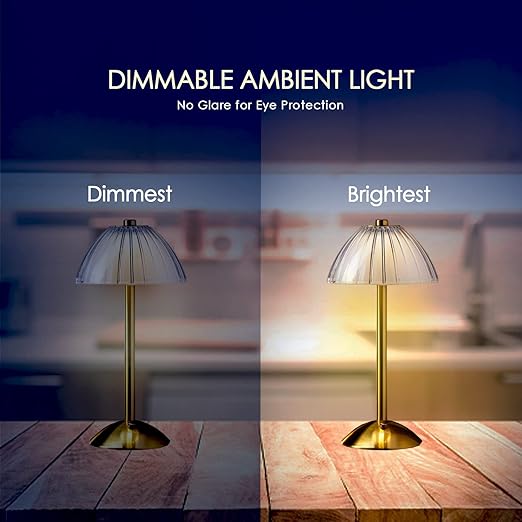 Ribbed Dome Shade Warm Ambient LED Desk Lamp