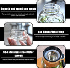 Glass Infuser Water Bottle with Stainless Steel Filter | Fruit Infuser, Detox & Flavoured Water Bottle