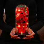 Forever Rose in Glass Dome Lamp