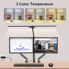 Double Head LED Desk Lamp with Clamp