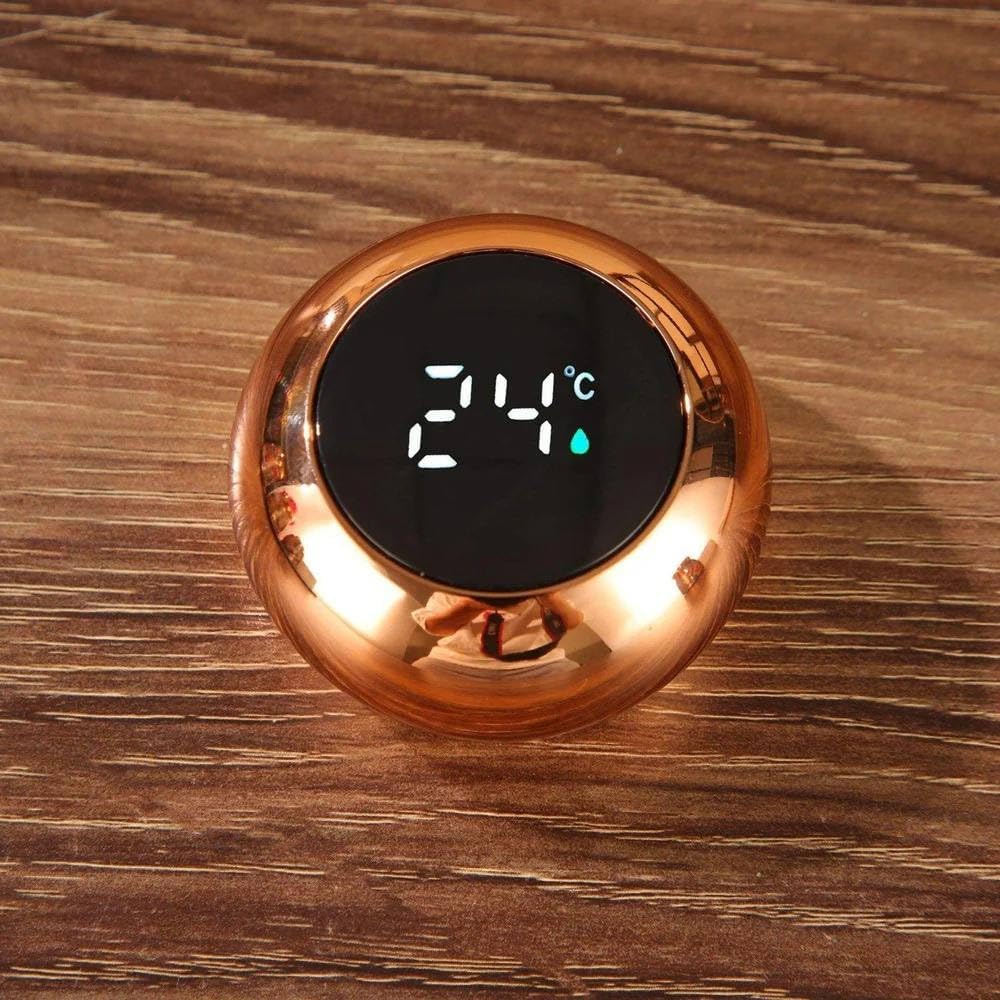 Mini Art Flora Bottle – 300ml SmartTemperature Display Flask ( random Design only )