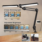Double Head LED Desk Lamp with Clamp
