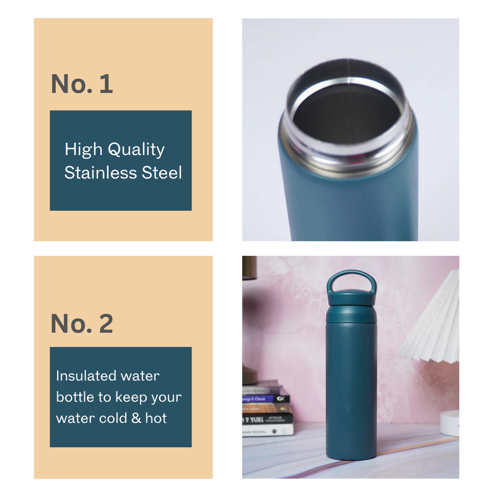 Premium Matte Finish Leak-Proof Water Bottle with Carry Handle