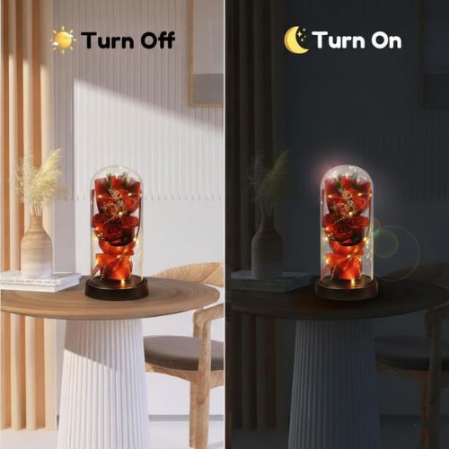 Forever Rose in Glass Dome Lamp