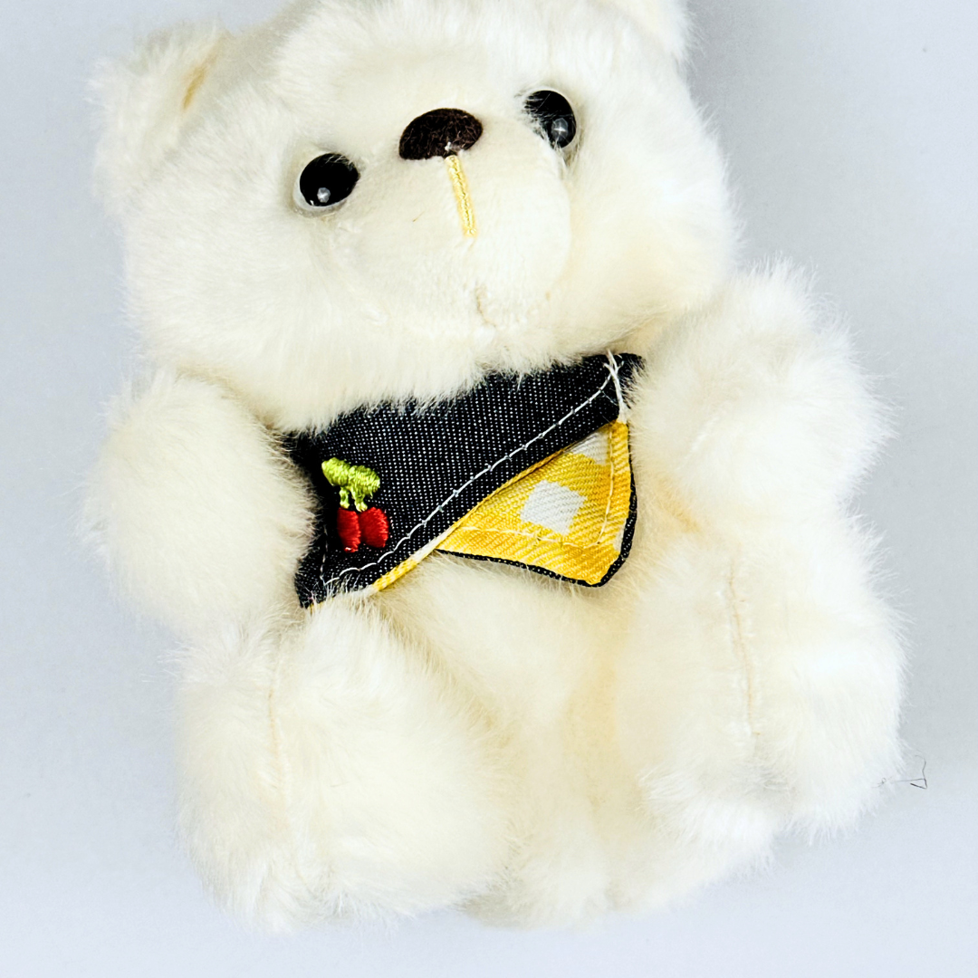 Cute Teddy Plush Keychain(Random Color)