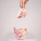 Vintage Floral Ceramic Soup Bowl Set of 6 Red Flower Print Serving & Snack Bowls